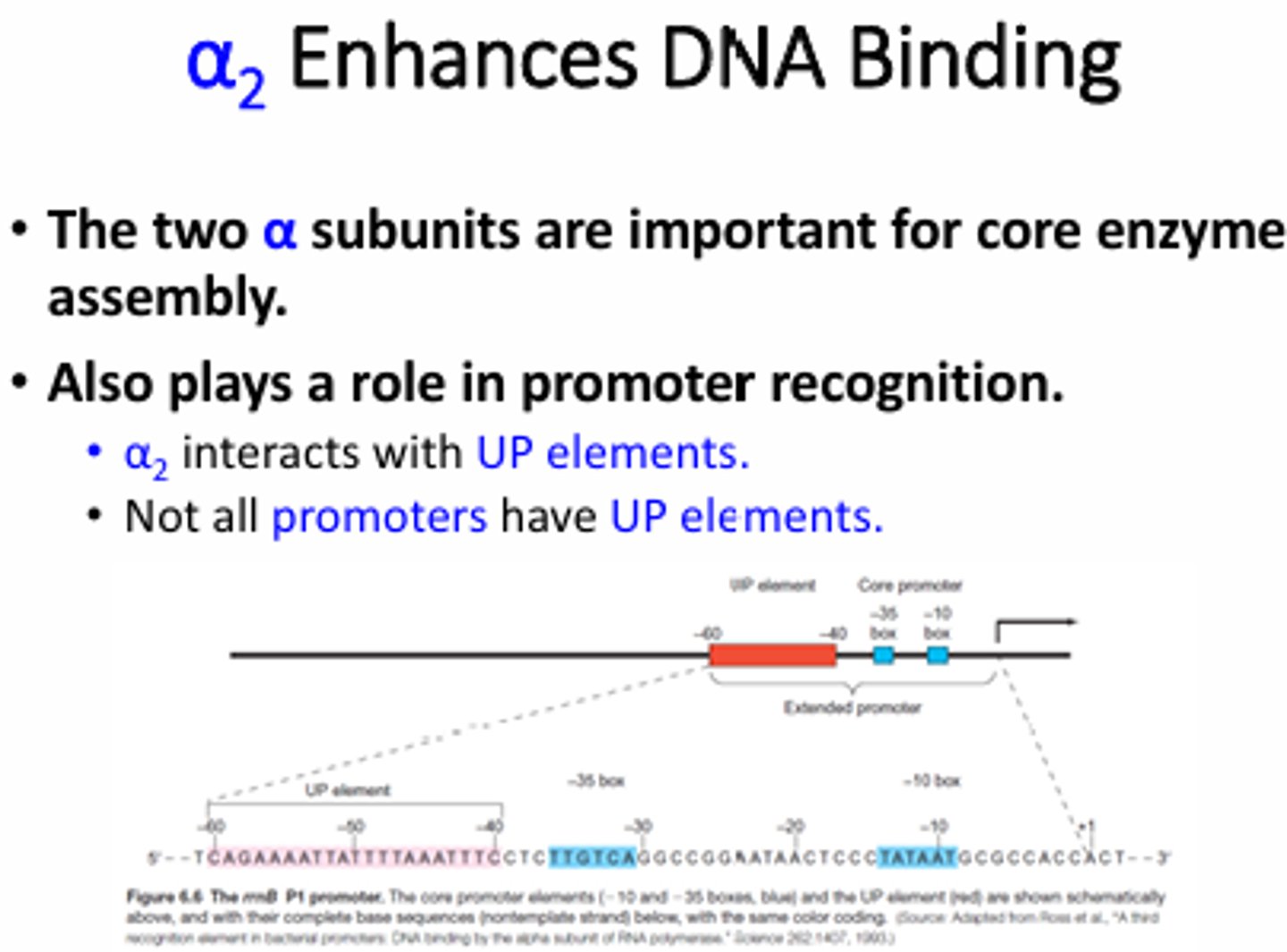 <p>TTGACA at -35 (aka -35 box), TATAAT at -10 (-10 or Pribnow box), and has a spacer region of 17nt</p>
