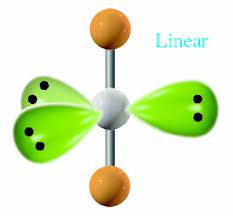 <p>Linear </p>