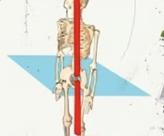 \-vertical

\-transverse plane rotation

\-pirouette