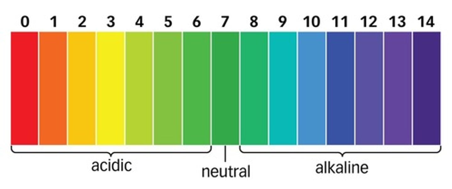 <p>An indicator with a different colour for each pH value.</p>