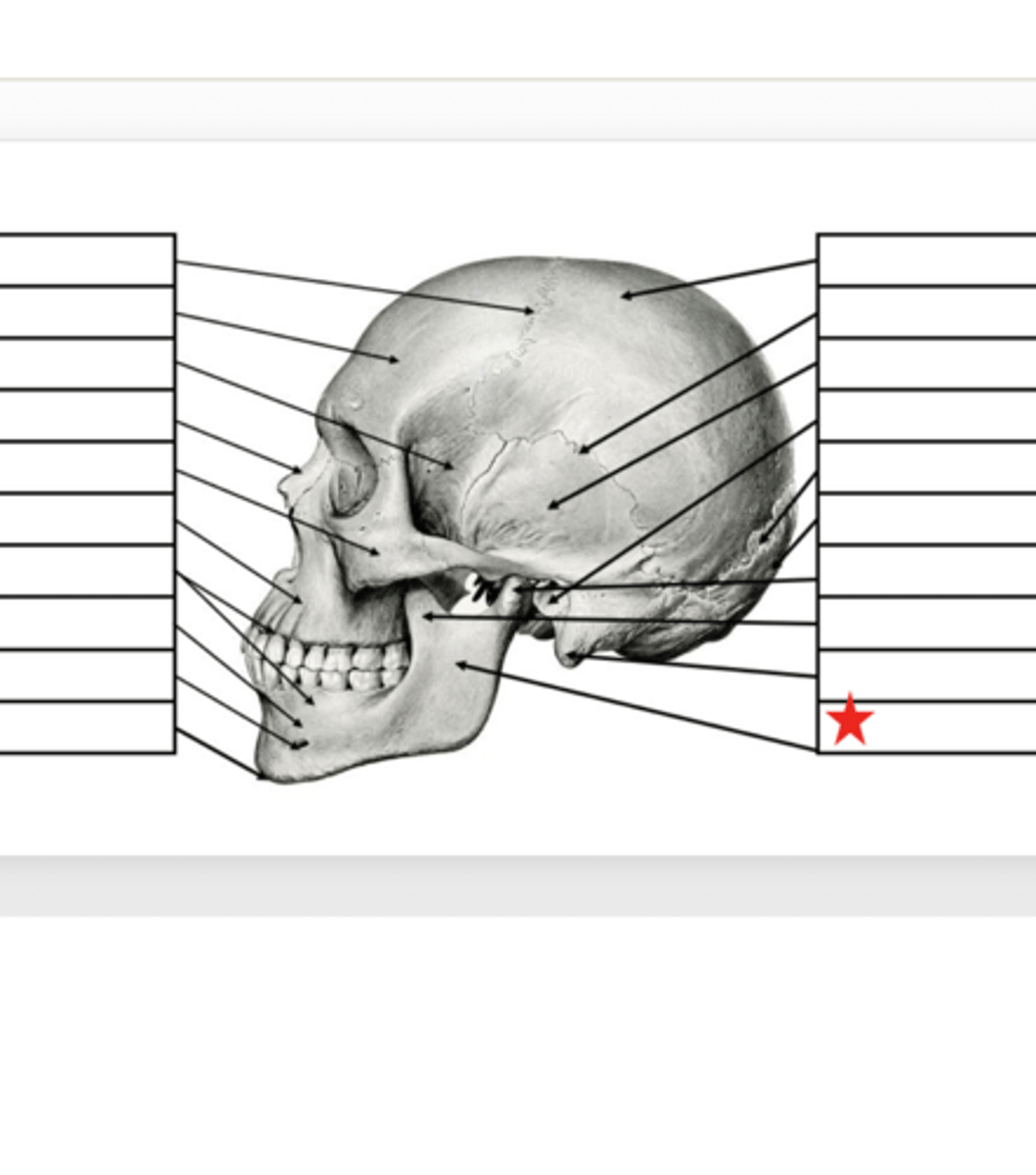 <p>What is this?</p>