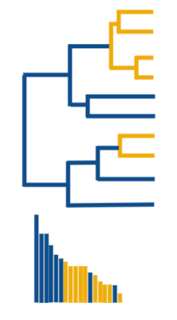 <p>any lineage could speciate, go extinct, or evolve (weaponless could grow weapons, or weaponed could lose weapons)</p><p>analysis: compare branch lengths, ordered longest to shortest (longer branch = more time)</p><p>the longer branches tend to not have weapons → speciation takes longer to occur</p><p>the shorter branches tend to have weapons → speciation occurs more quickly</p>