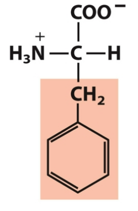 <p>Nonpolar, aromatic</p>