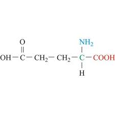 <p>What is the name of this amino acid, and what are the single letter and three letter codes?</p>