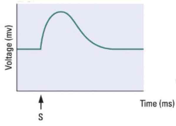 <p>This graph shows a _______</p>
