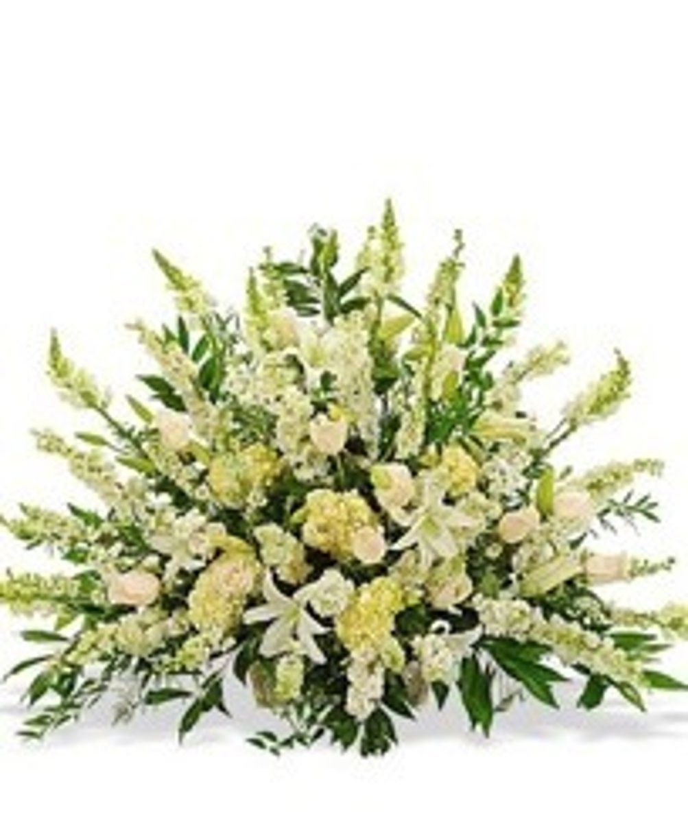 <p>fan shaped design</p>