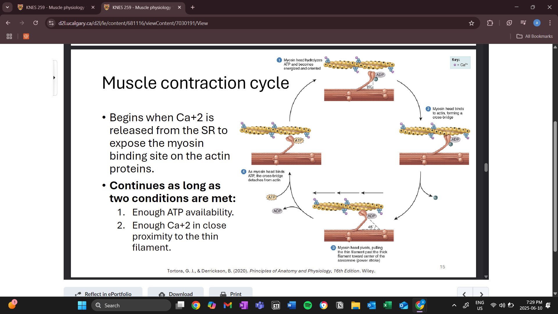 knowt flashcard image