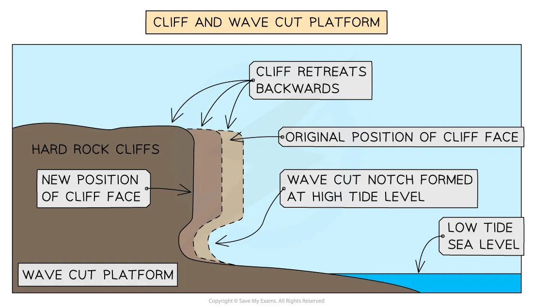 <ul><li><p>Bare off cliff means it is being eroded back</p></li></ul><p></p>