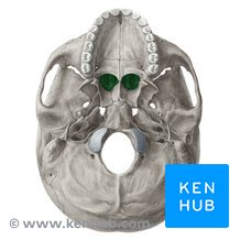 <p>Name the structure</p>