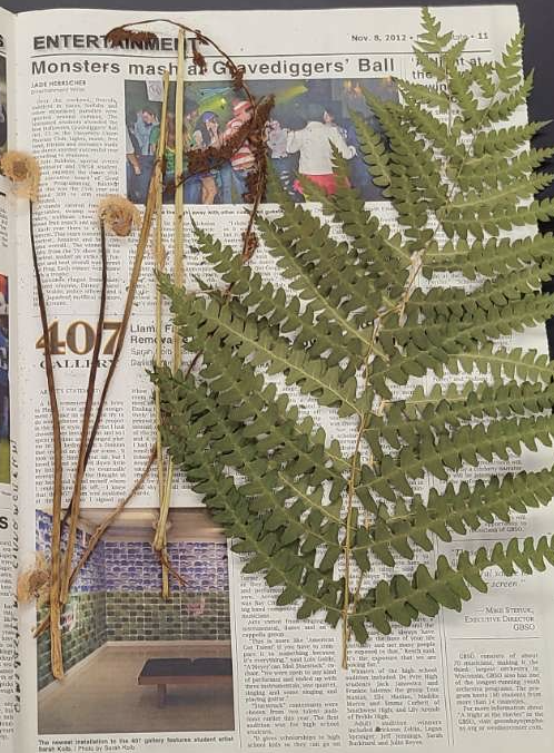 <p>plant?</p>