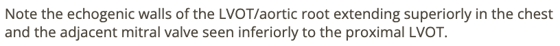 <p>a) LVOT</p>