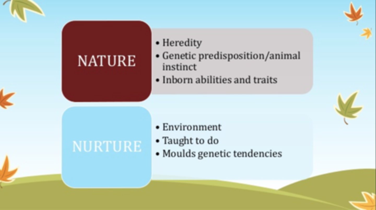 <p>the debate of whether genetics or environment is primarily responsible for driving behavior</p>