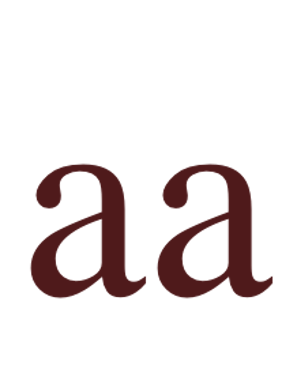 <p>An organism that has two identical alleles for a trait</p>