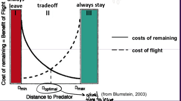 <ul><li><p>Flight Initiation distance is the distance at which an animal moves away from an approaching threat - but if foraging and you notice do you flee? Depends on distance</p><ul><li><p>further - stay bc can eat more and save energy</p></li><li><p>Factors that affect FID</p><ul><li><p>Energetic state</p></li><li><p>more conspecifics - shorter (wait)</p></li><li><p>predator speed - longer (ASAP)</p></li><li><p>distance to cover</p></li><li><p>prey hungry or not</p></li><li><p>Dont mistake this for habituation</p></li></ul></li></ul></li><li><p>Protean flee behaviours - animals enhance escape by moving in an erratic unpredictable way making it hard for predator to follow target (butterfly, mice)</p></li><li><p></p></li></ul><p></p>