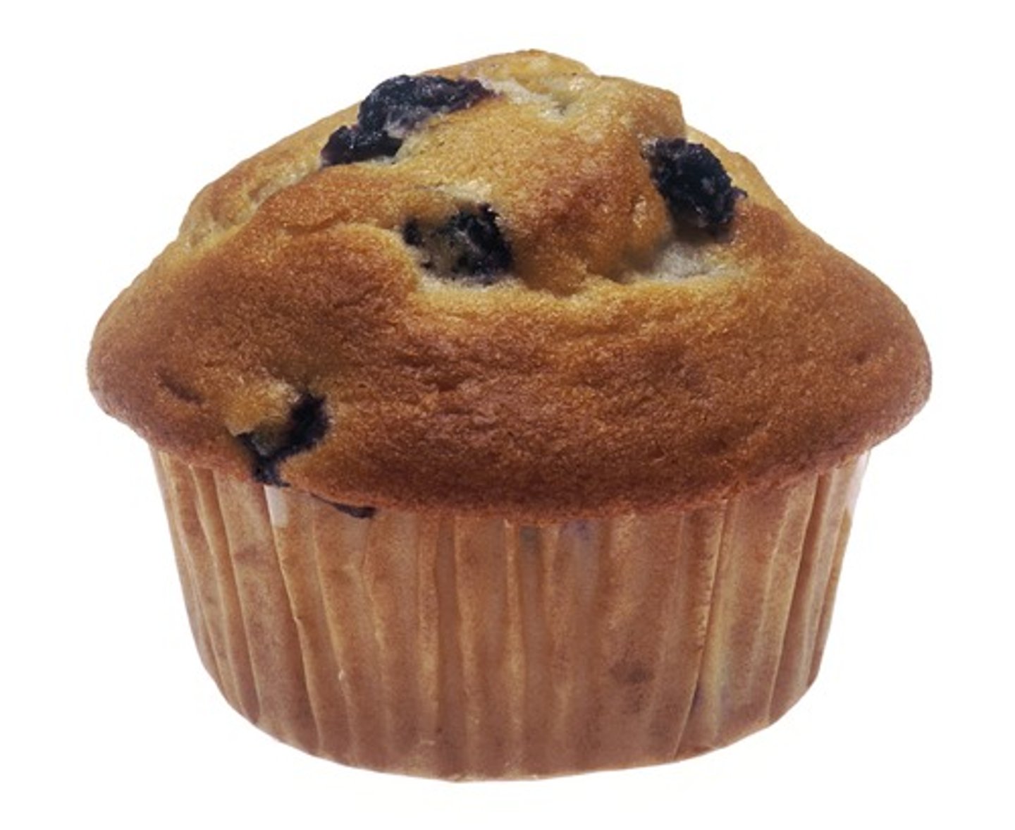 <p>muffin</p>