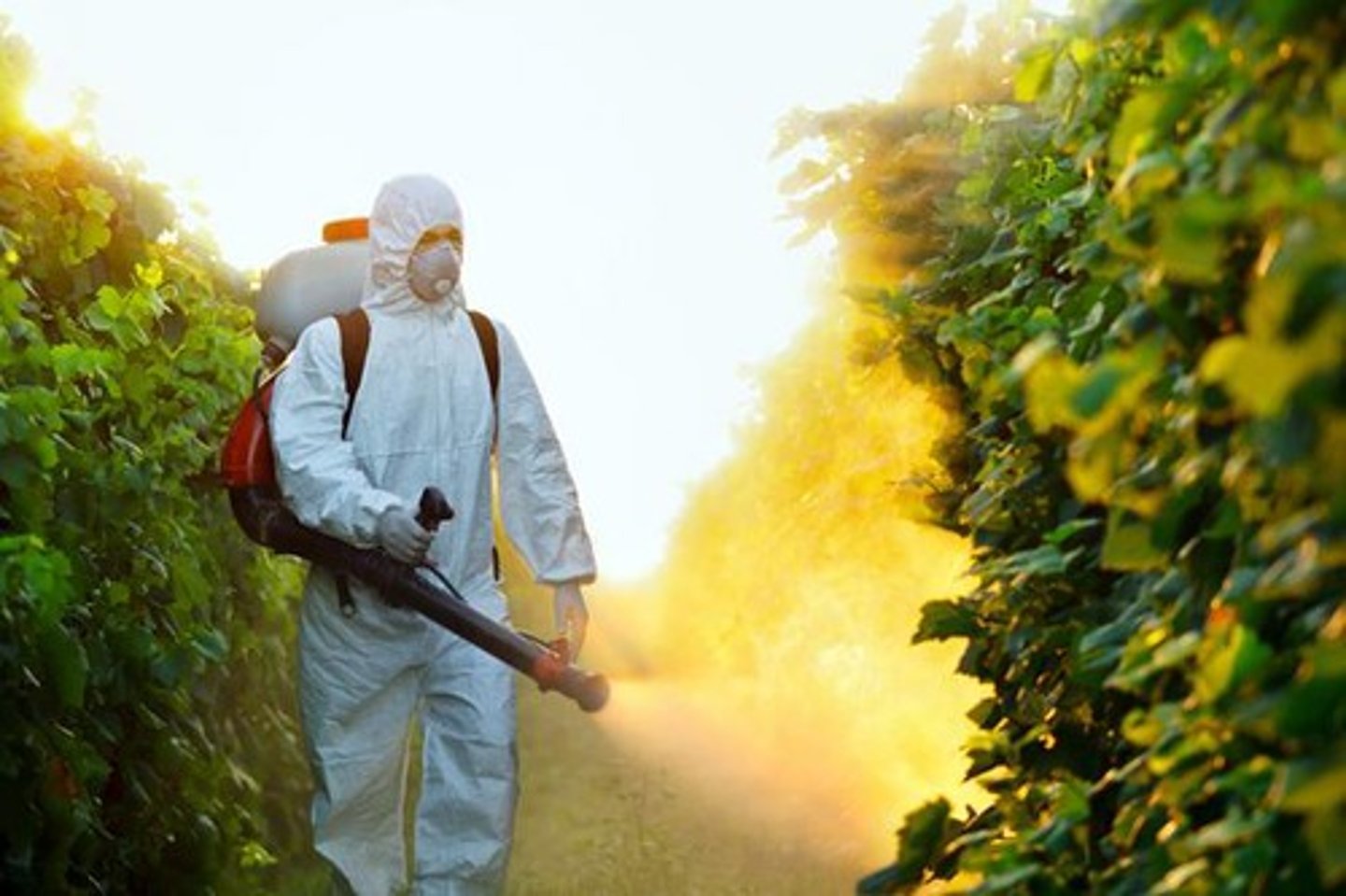 <p>A chemical intended to kill insects and other organisms that damage crops.</p>