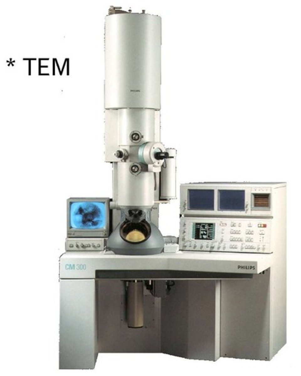 <p>a microscope that focuses a beam of electrons to magnify objects</p>