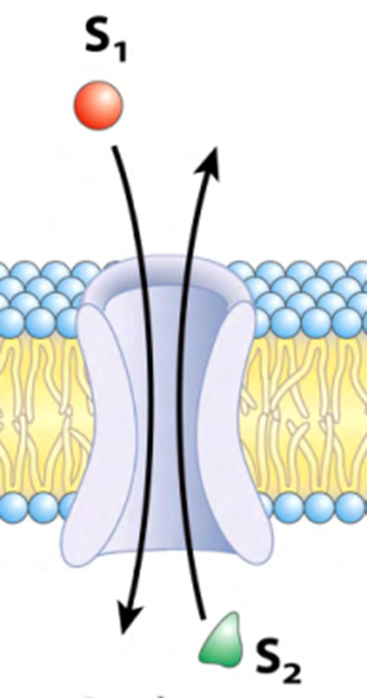 <p><strong>Describe que tipo de transporte mediado se presenta en la imagen </strong></p>