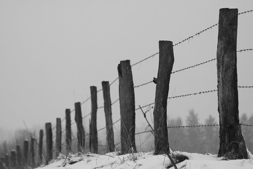 <p>Barbed Wire</p>