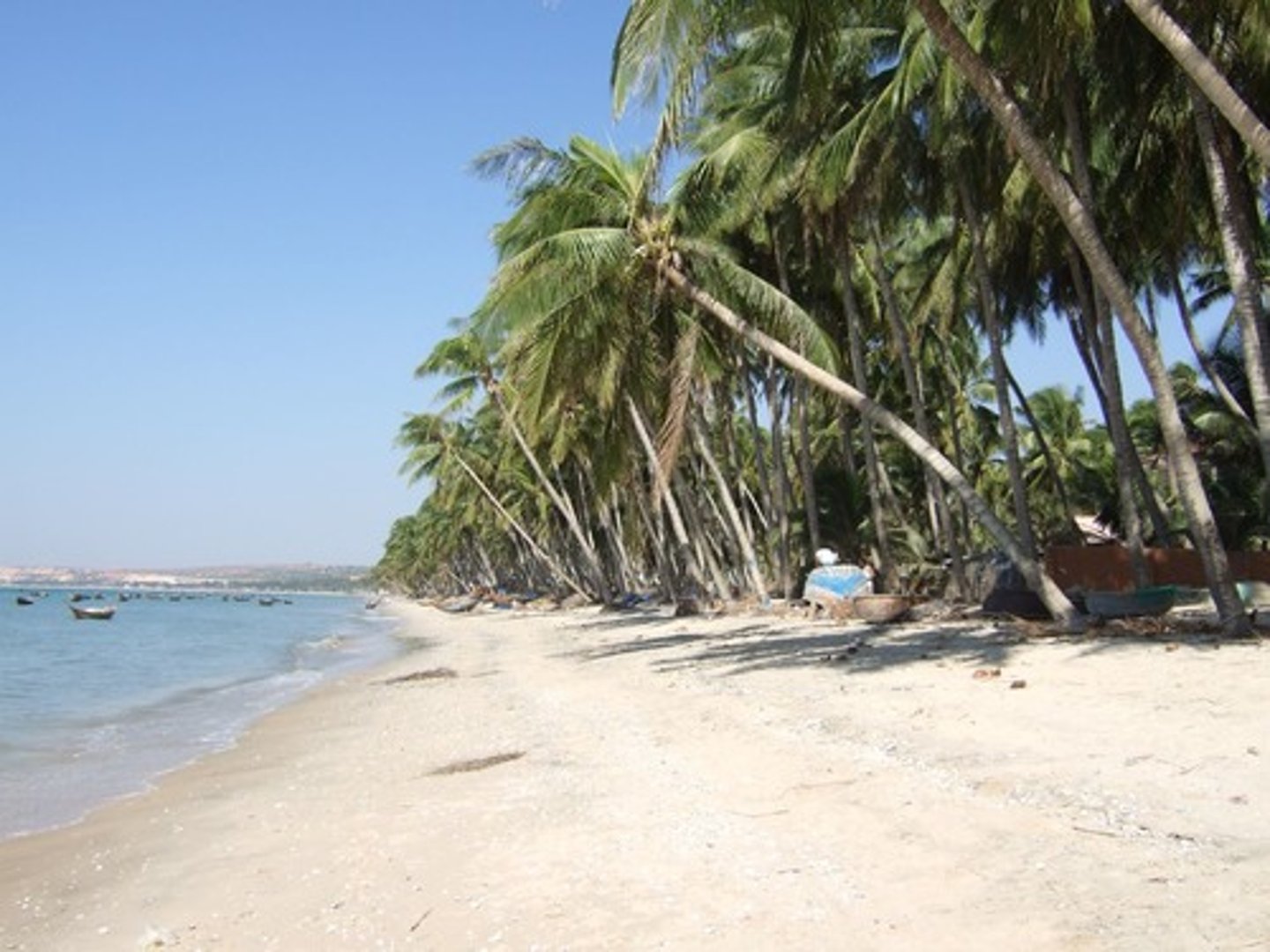 <p>beach</p>