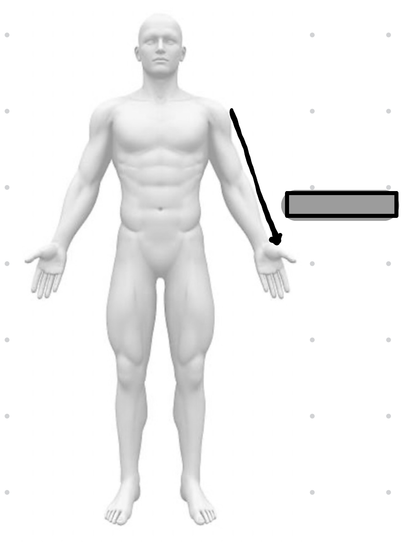 <p>further from axial skeleton</p>