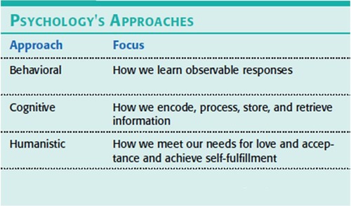 <p><span>Cognitive psychology</span><br></p>