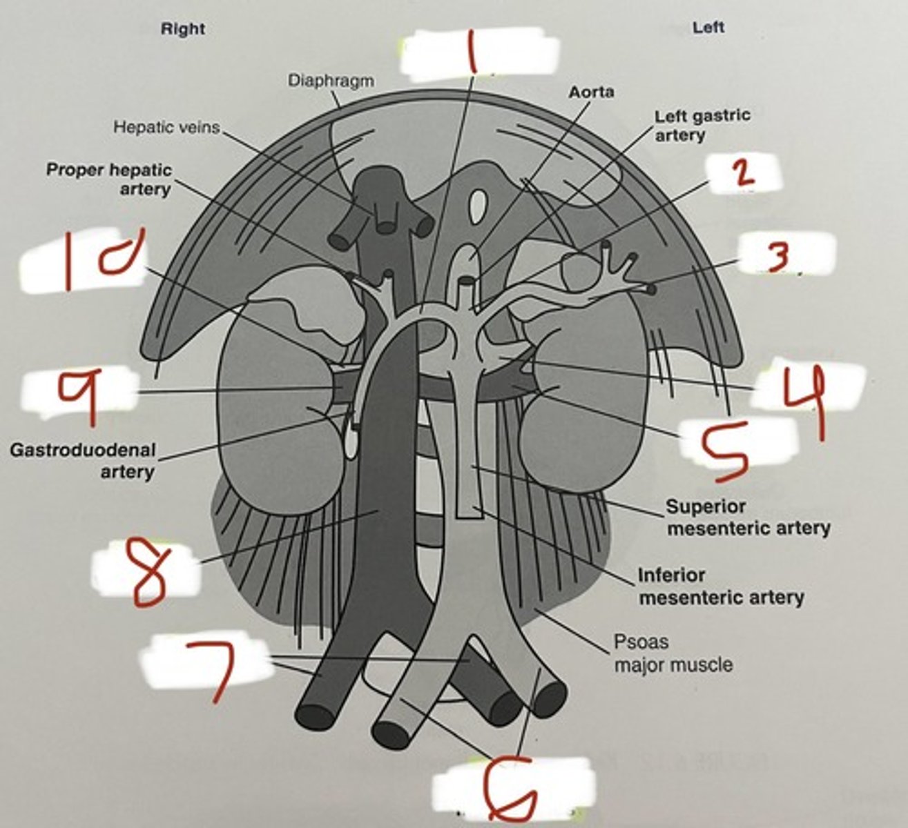<p>6</p>