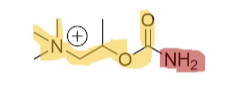 <p>Agonist</p><p>Long duration</p>