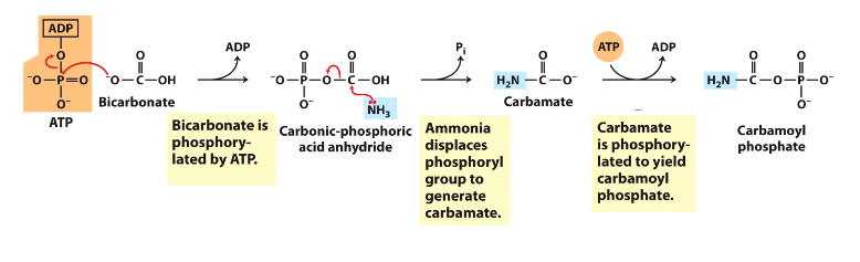 <p>Making Urea - 1N from NH3</p>