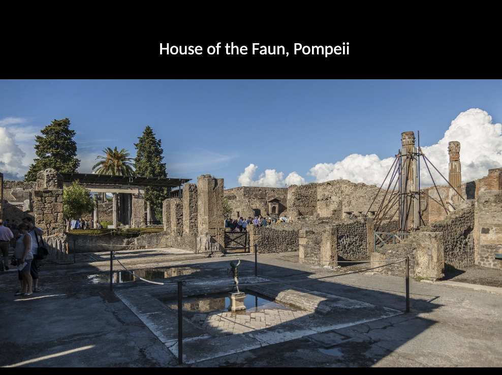 <p>House of the Faun, Pompeii</p>