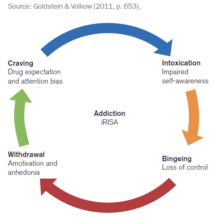 <ul><li><p>The reward of drugs comes from the release of dopamine in the mesolimbic dopamine system </p></li><li><p>Dopamine: midbrain reward or learning system &amp; creates this craving cycle </p></li></ul><p></p>