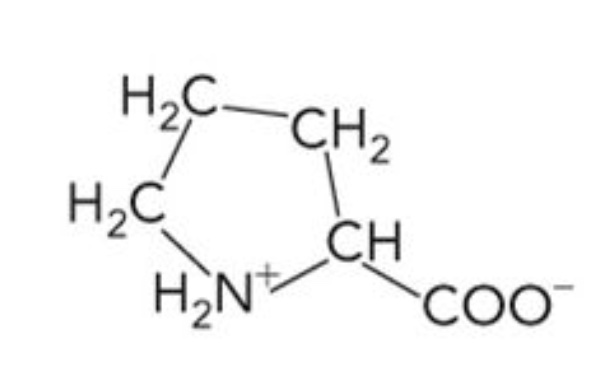 <p>What amino acid is this? 3-letter code? Characteristics? </p>