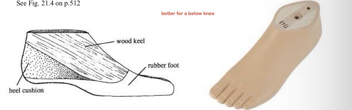 <p>-rigid combo of rubber &amp; wood</p><p>-compressed under BW to simulate PF @ heel strike</p><p>-better for below knee </p>