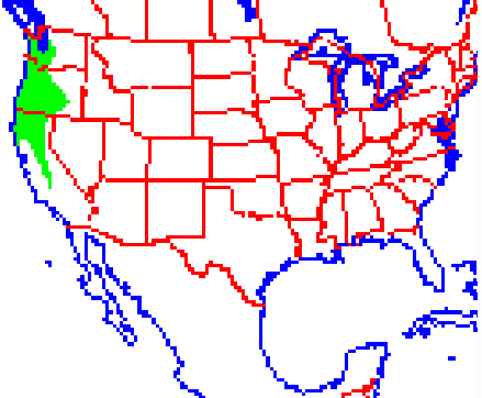 <p>Which species fits the following habitat and management concerns?</p><p><br>Habitat: Primarily temperate conifer forests</p><p>Management issues: Important prey species for forest carnivores; dispersal of seeds and fungi; harvested for their fur; can severely damage young trees in plantations and crops in storage; may gnaw on many household items</p>