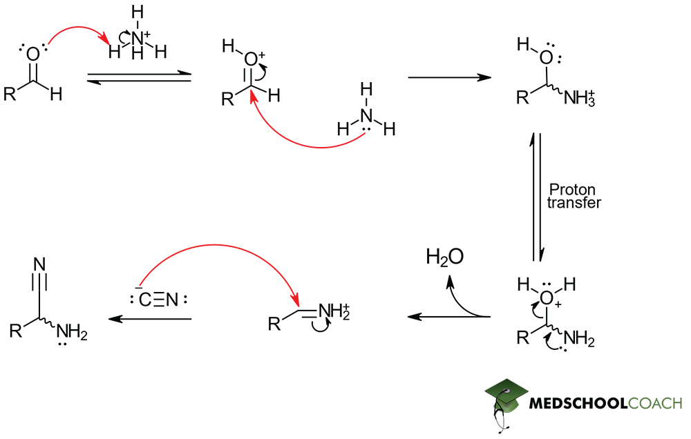 <p>Aminonitrile formation</p>