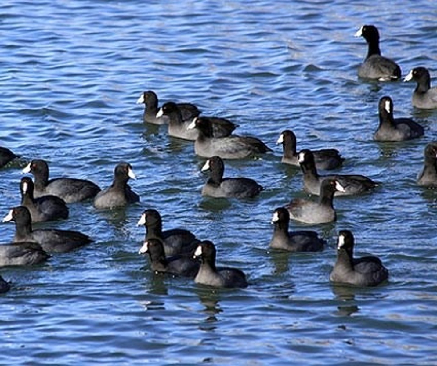 <p>general term for a water environment</p>