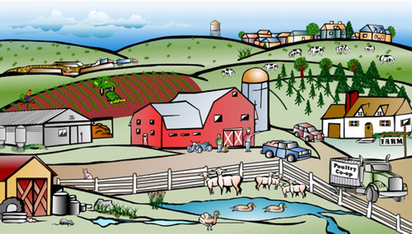 <p>farm</p>