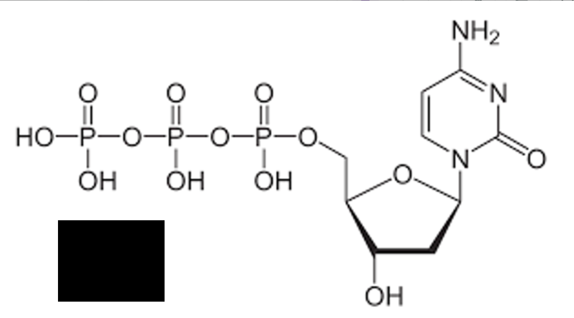 <p>identify the image </p>