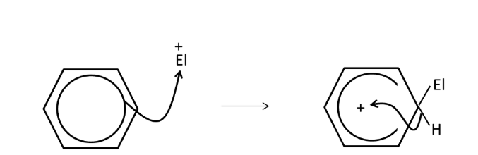<p>with bromine, FeBr3 as catalyst, forms bromobenzene + HBr</p><p>with chlorine, FeCl3 as catalyst, form chlorobenzene + HCl</p>