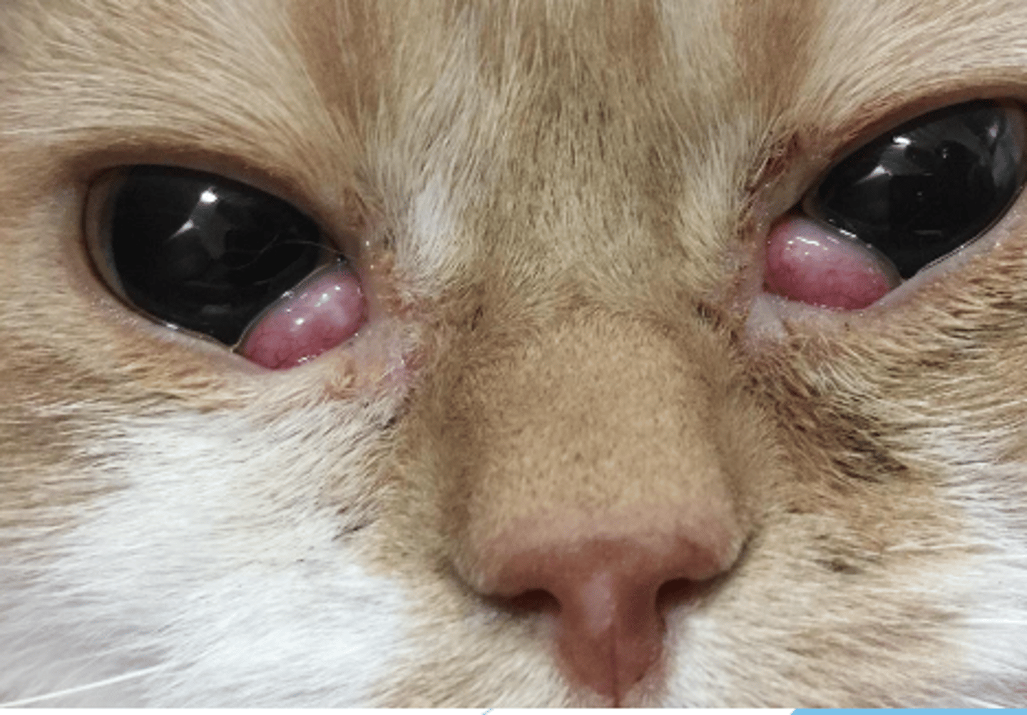 <p>what is this called?</p>