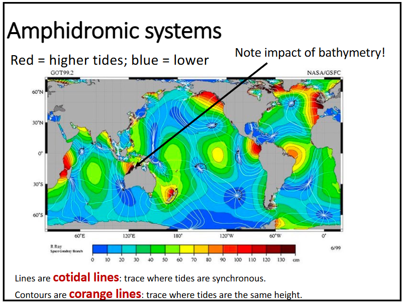 <p>describe Amphidromic systems</p>