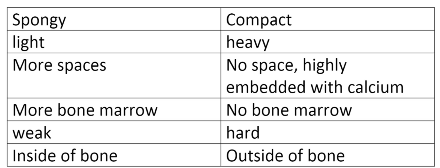 <p>5 major differences in total</p>