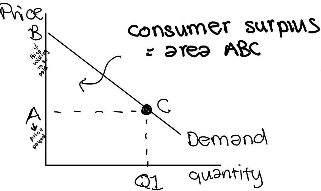 <p>Consumer surplus</p>