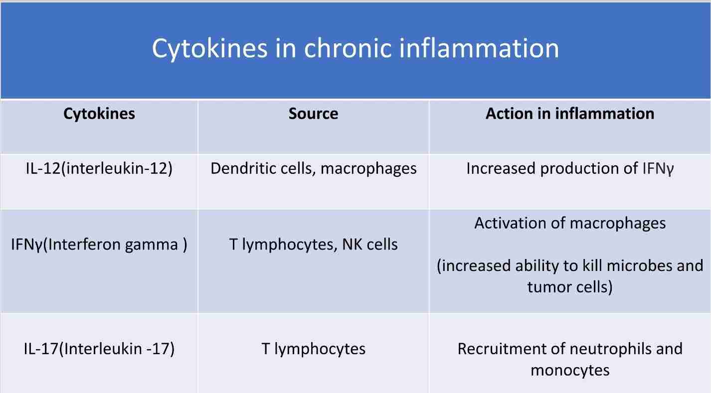 <ul><li><p>Protein produced by many cell types </p></li><li><p>Mostly activated lymphocytes, macrophages, endothelium, epithelium &amp; connective cells at sites of tissue injury </p></li><li><p>Regulate inflammatory response, ranging from initial changes in vascular permeability to resolution and restoration of tissue integrity </p></li></ul>