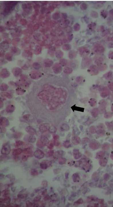 <p>what is this?</p>