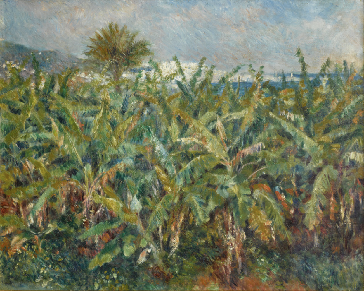 term image