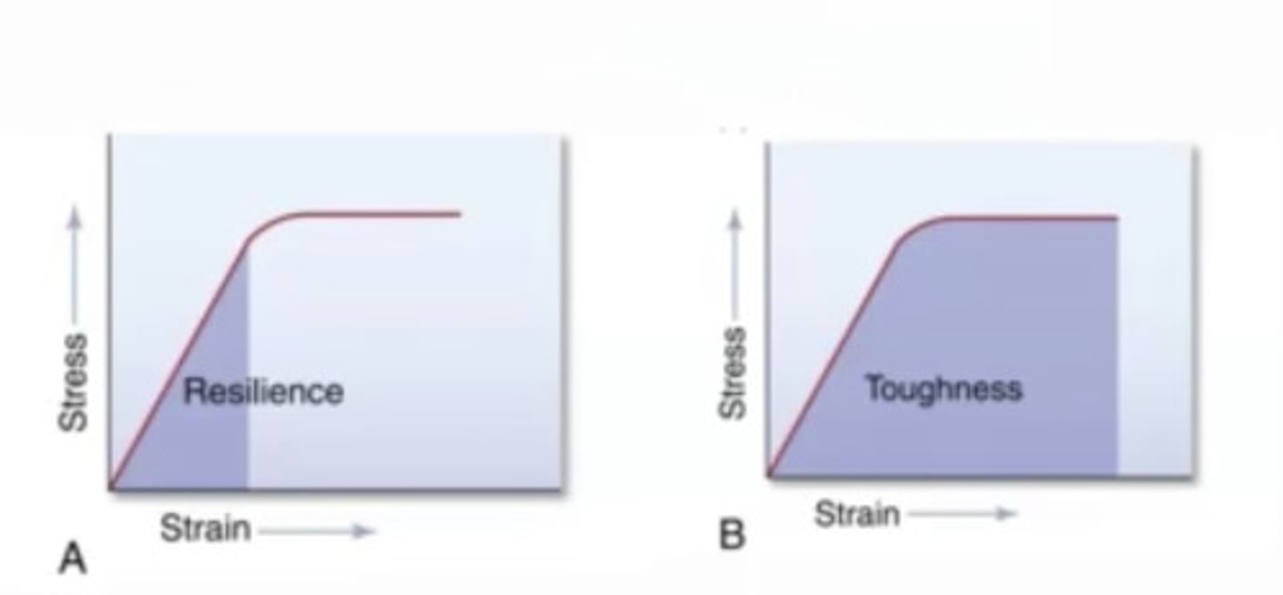 <p>The ability of a material to absorb energy and deform plastically without fracturing</p>