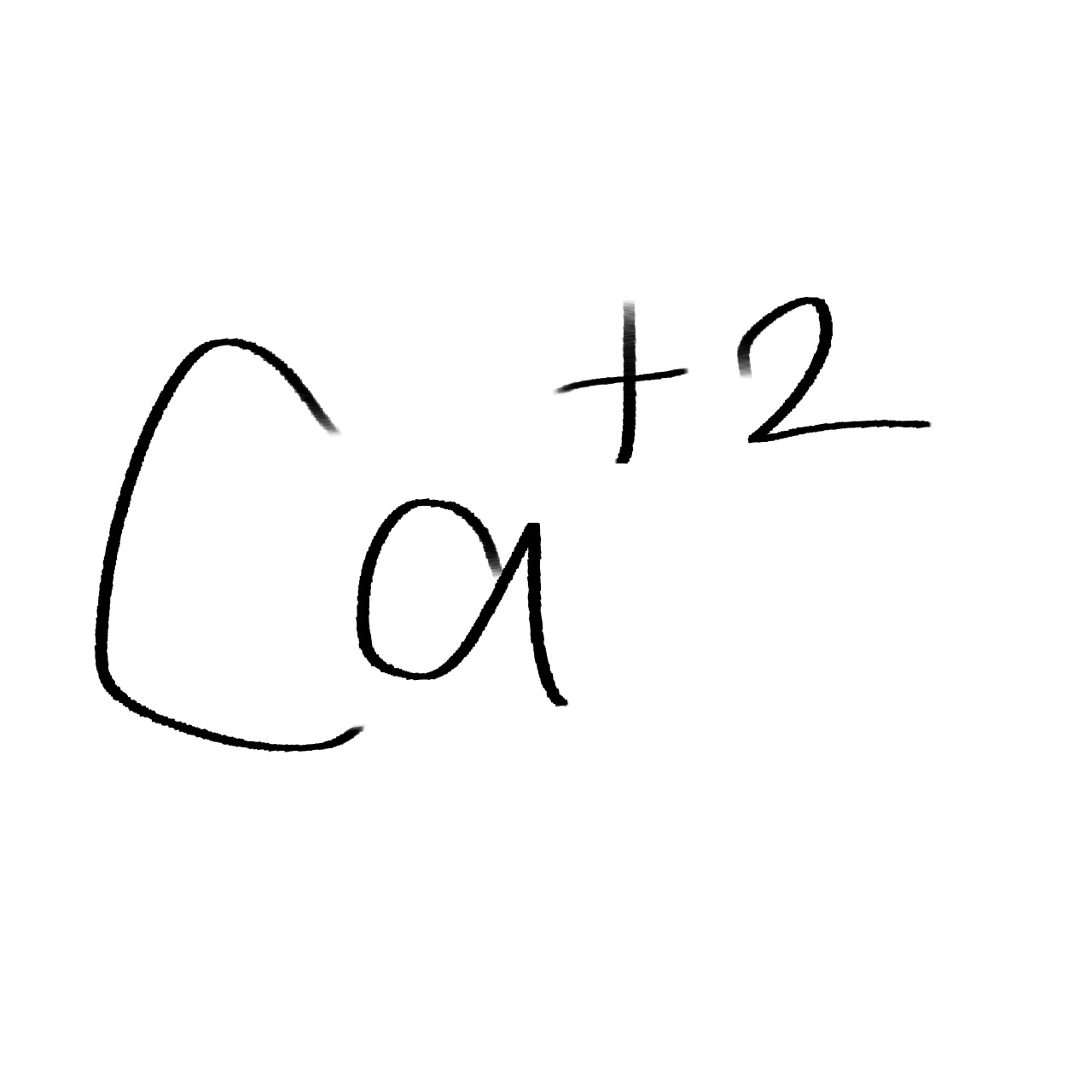 Ca +2