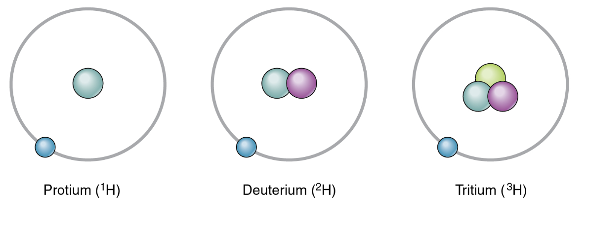 <p><span>If the average atomic mass of hydrogen in nature is 1.0070, which isotope must have a higher percent composition in nature?</span></p>