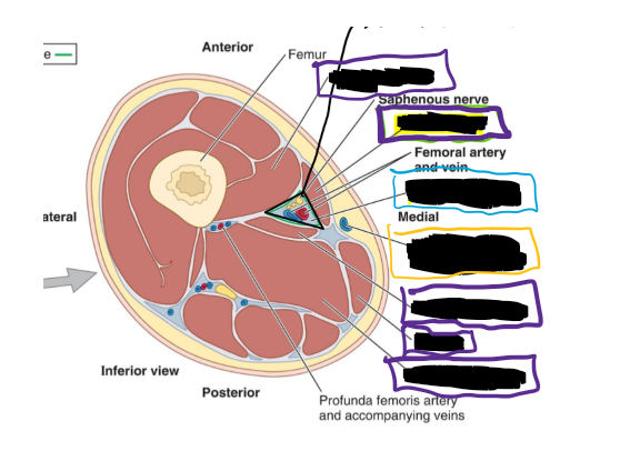 <p>What are the structured circled?</p>